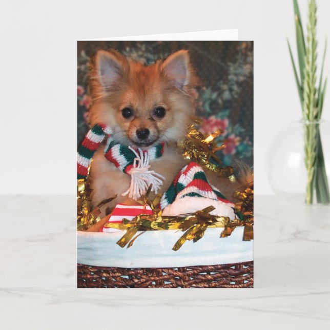Christmas Puppy Holiday Card (Front)