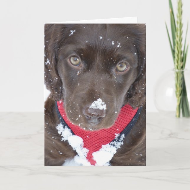 Christmas Puppy Snow Card (Front)