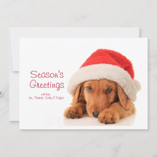 Christmas Puppy Wearing A Santa Hat Holiday Card
