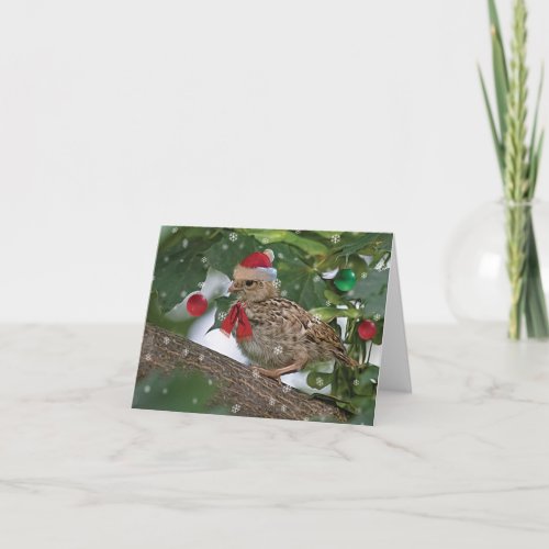 Christmas Quail Chick Card