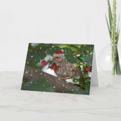 Christmas Quail Chick Card