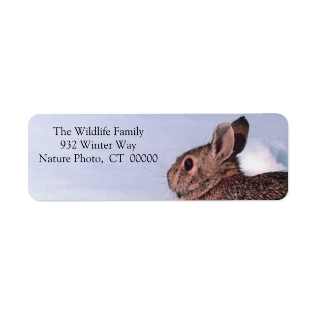 Christmas Rabbit Holiday Return Address Stickers (Front)