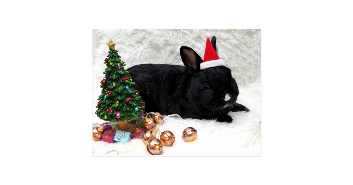 Christmas Rabbit Postcard | Zazzle.com