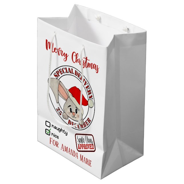 Christmas rabbit special delivery add name  medium gift bag (Front Angled)