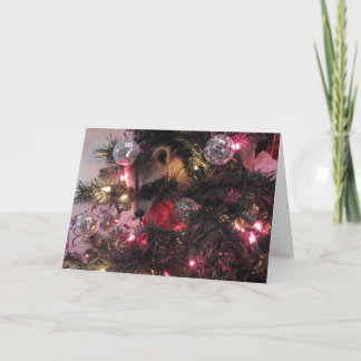Christmas Raccoon Holiday Card