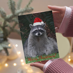 Christmas Raccoon Wearing Red Santa Hat Holiday Card