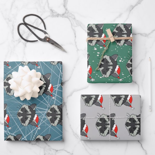 Christmas Raccoon  Wrapping Paper Sheets (Front)