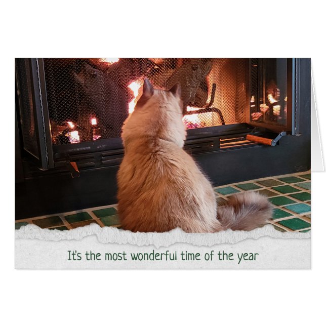 Christmas Ragdoll Cat By Fireplace Cards (Front Horizontal)