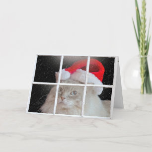 Christmas Ragdoll Cat Holiday Card