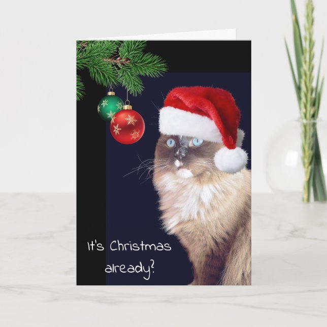 Christmas Ragdoll Cat Humor Card (Front)