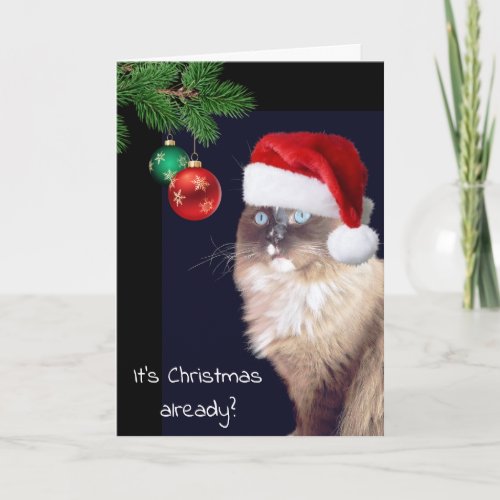 Christmas Ragdoll Cat Humor Card