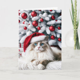 Christmas Ragdoll Cat In a Santa Hat Card