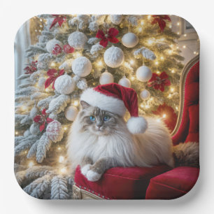 Christmas Ragdoll Cat On Red Vintage Chair Paper Plates