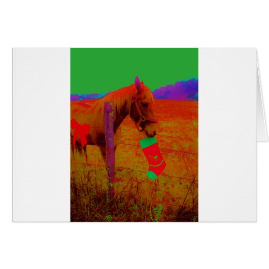 Christmas Rainbow Horse Cards (Front Horizontal)