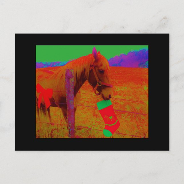 Christmas Rainbow Horse Holiday Postcard (Front)