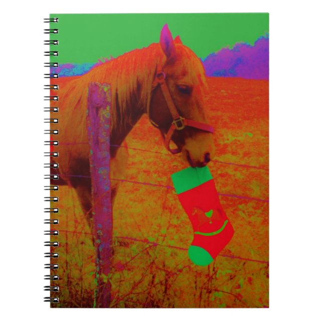 Christmas Rainbow Horse Notebook (Front)