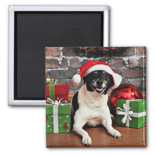 Christmas _ Rat Terrier _ Sparky Magnet