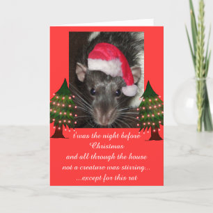 Christmas rats holiday card