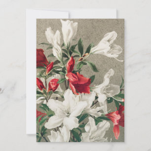 Christmas Red and White Apple Blossom Flowers Holiday Card