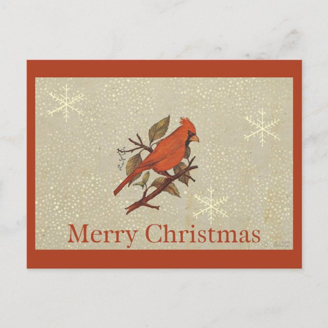 Christmas Red Bird Cardinal Snow Holiday Postcard (Front)