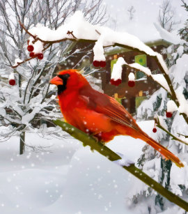 red cardinal snow globes zazzle