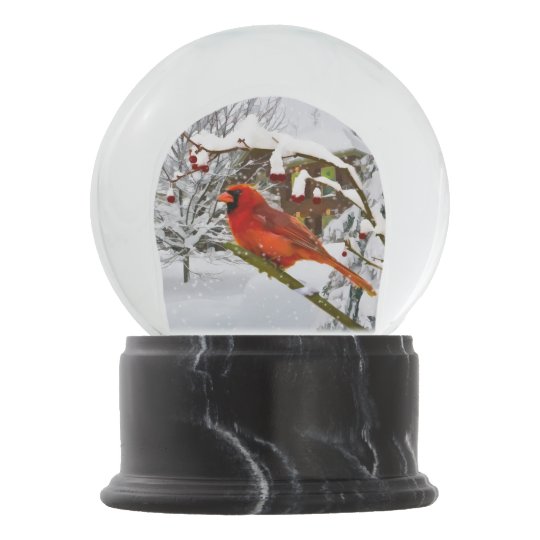 Christmas, Red Cardinal Bird and Snow Snow Globe | Zazzle.com