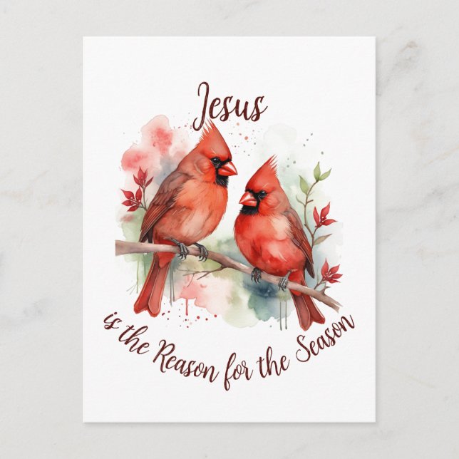 Christmas Red Cardinal Jesus Reason for Season Postcard (Front)