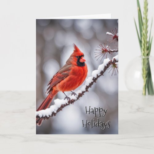 Christmas Red Cardinal On Winter Branch Card