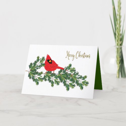 Christmas  Red Cardinal Perched on Pine Branch Holiday Card