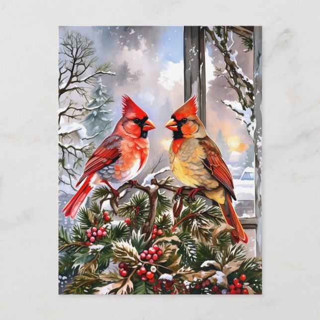 Christmas Red Cardinals Winter Illustration  Holiday Postcard (Front)