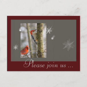 Christmas Red Gray Birds Cardinal Wood Pecker Holiday Postcard