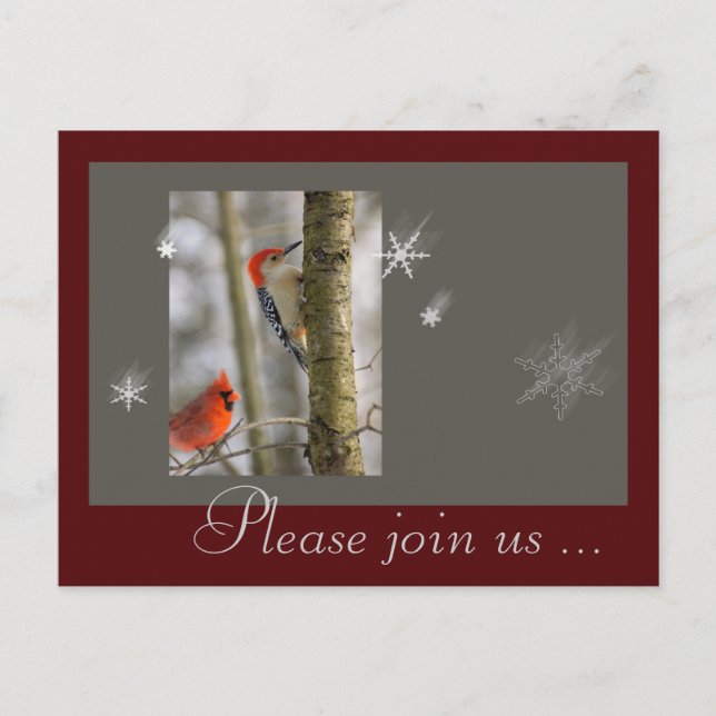Christmas Red Gray Birds Cardinal Wood Pecker Holiday Postcard (Front)