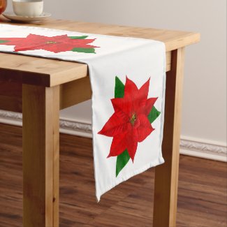 Christmas Red Poinsettia Flowers on White