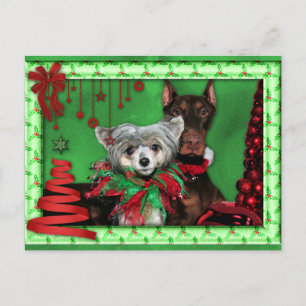 Christmas - Red Ribbon Tree - Doberman Crestie Holiday Postcard