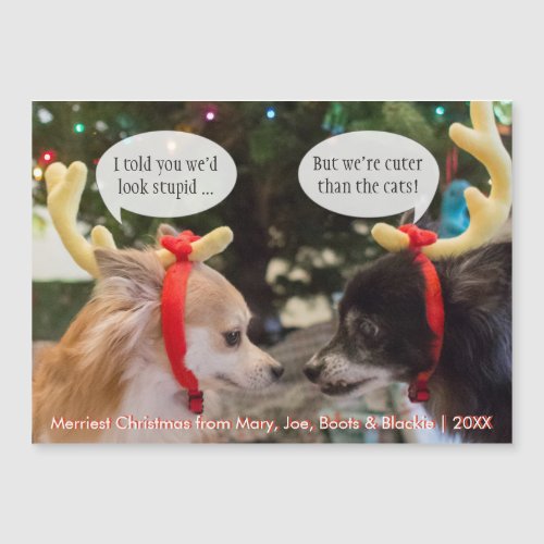 Christmas Reindeer Dogs  If Dogs Could Talk
