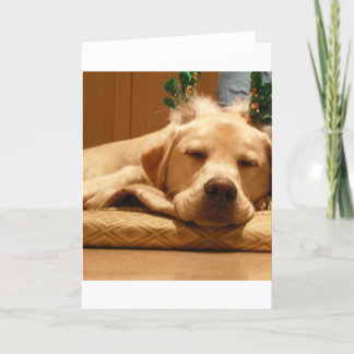 Christmas Reindeer Holiday Card