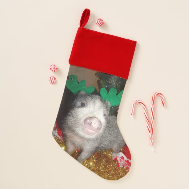 Christmas Reindeer Pig Christmas Stocking (Front)