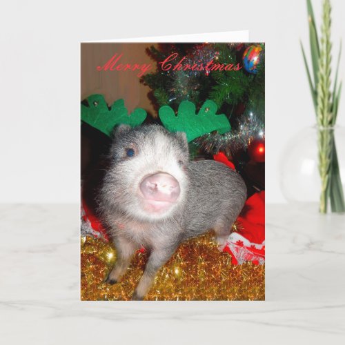 Christmas Reindeer Pig Greeting Card