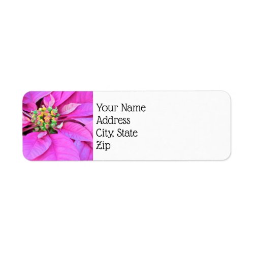 Christmas Return Address Labels _ Pink Poinsettia