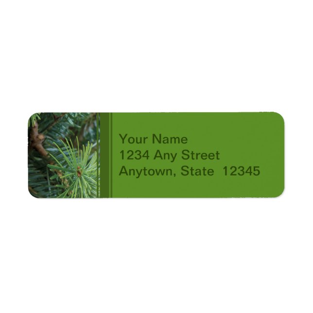 Christmas Return Address Labels with Pine Branches (Front)