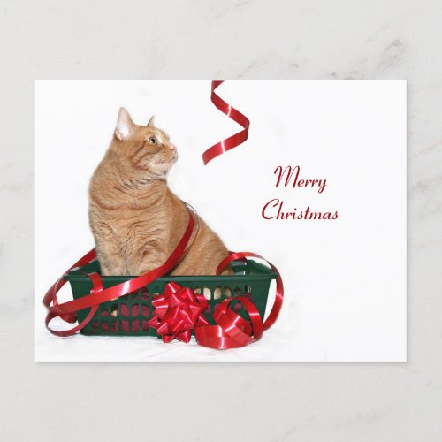 Christmas ribbon kitty holiday postcard