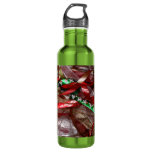 Christmas Ribbons Red Green and Gold Holiday Water Bottle