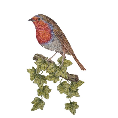 Christmas robin and ivy leaves illustration tie
