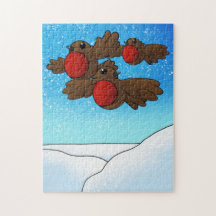 Christmas Robin Birds