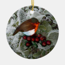 Christmas Robin