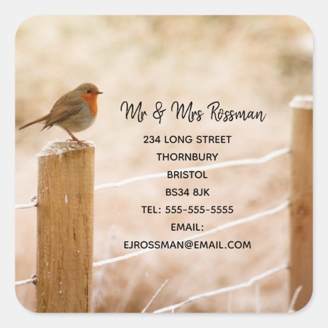 Christmas robin Change of address sticker (Front)