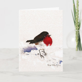 Christmas Robin Holiday Card