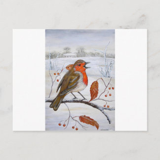 Christmas Robin Holiday Postcard