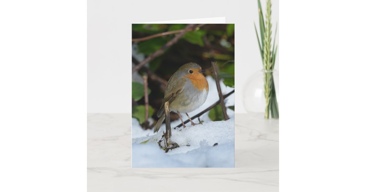 Christmas Robin in the snow Card | Zazzle