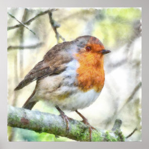 Christmas Robin Redbreast Winter Watercolor Poster